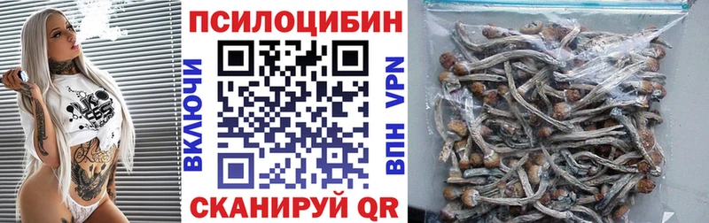 Купить  Геленджик  Псилоцибиновые грибы MAGIC MUSHROOMS 